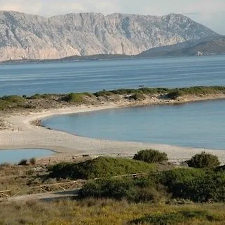 Jasmin - 779218 Prázdninový dům