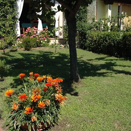 Jasmin - 779218 Prázdninový dům San Teodoro (Sardinia)