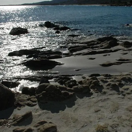 Jasmin - 779218 San Teodoro (Sardinia)