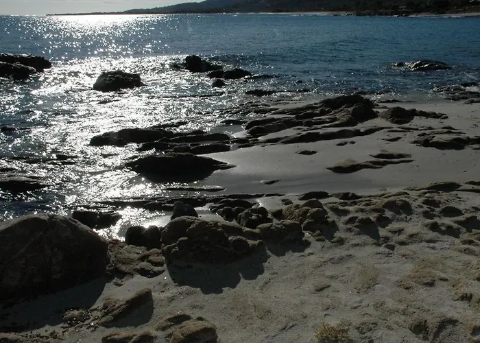 Jasmin - 779218 San Teodoro (Sardinia)